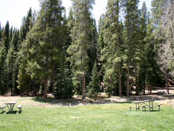 Copper MTN Center village pet friendly one bedroom Ski in Walk out
